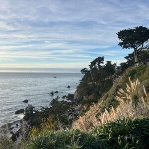 Meet your Posher, Marie